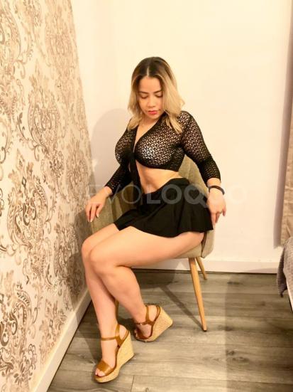 NuevoLoquo2