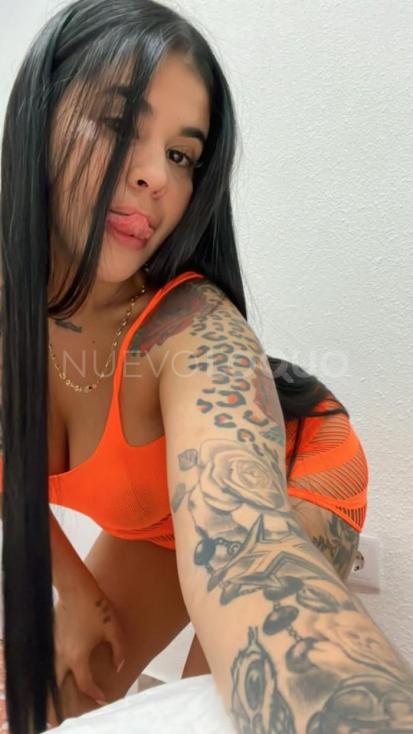 NuevoLoquo2