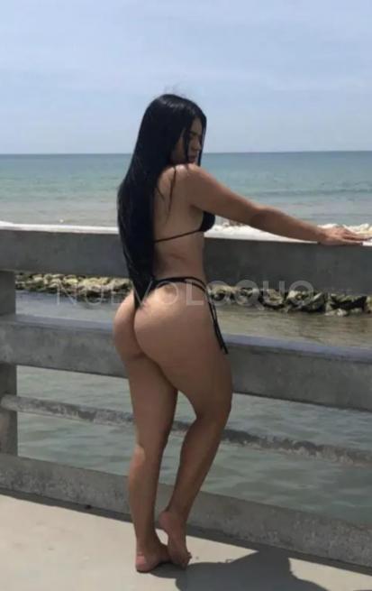 NuevoLoquo2
