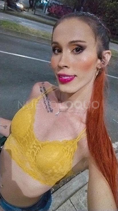 NuevoLoquo3