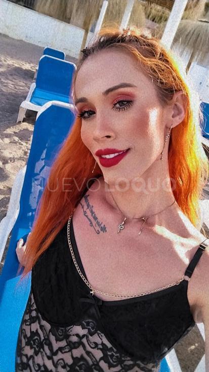 NuevoLoquo4