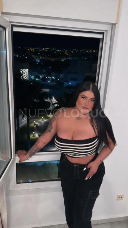 NuevoLoquo2