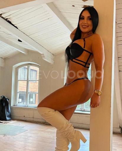NuevoLoquo5