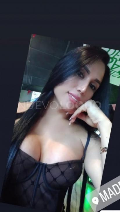 NuevoLoquo2