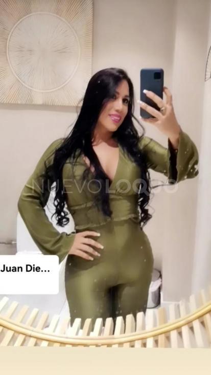 NuevoLoquo3