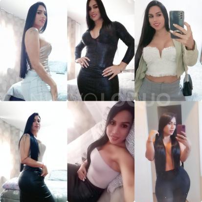 NuevoLoquo5