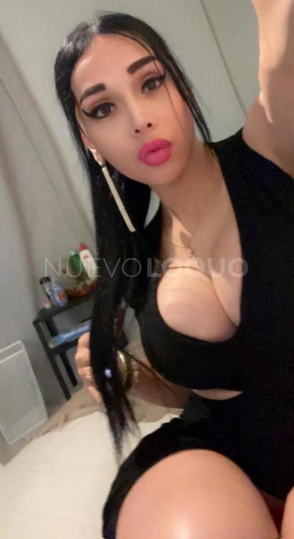 NuevoLoquo5