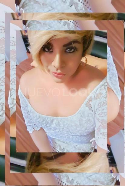 NuevoLoquo1