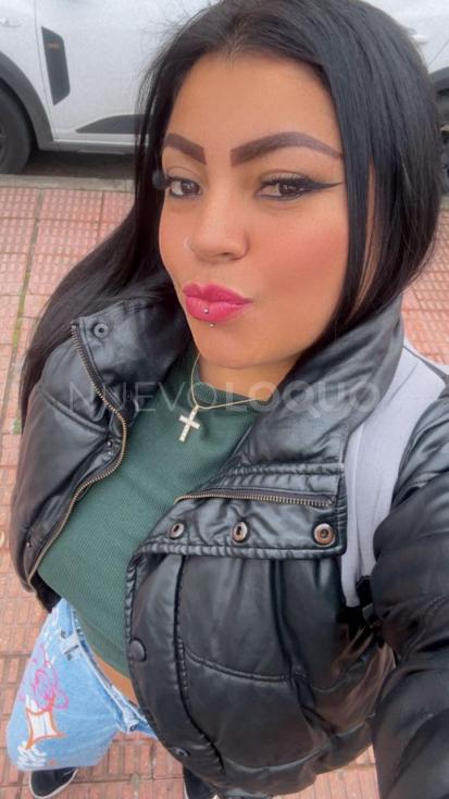 NuevoLoquo3