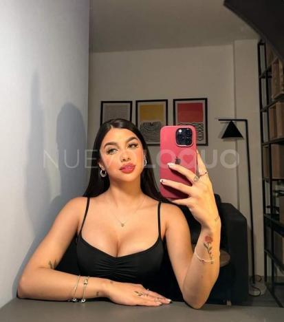 NuevoLoquo3