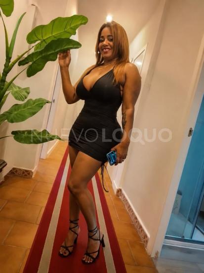 NuevoLoquo3
