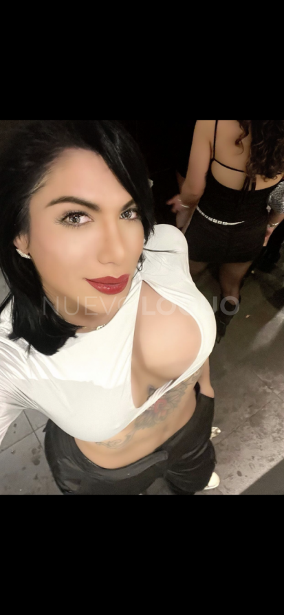 NuevoLoquo3