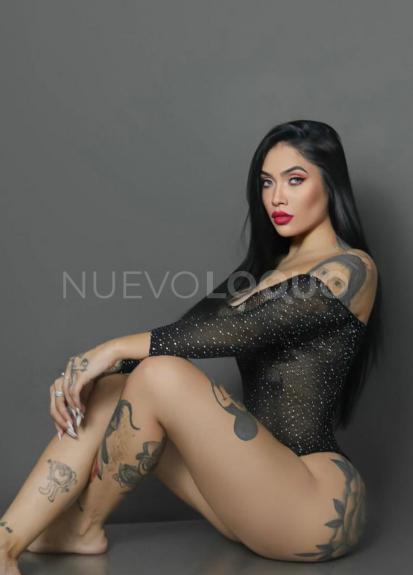 NuevoLoquo2