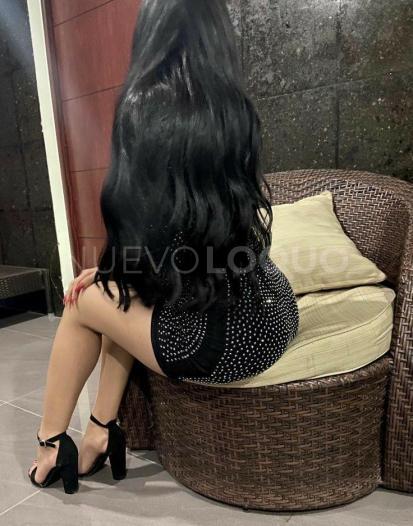 NuevoLoquo3