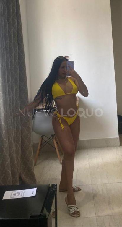 NuevoLoquo5