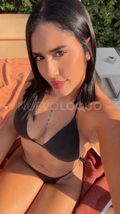 NuevoLoquo5