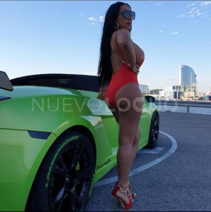 NuevoLoquo4