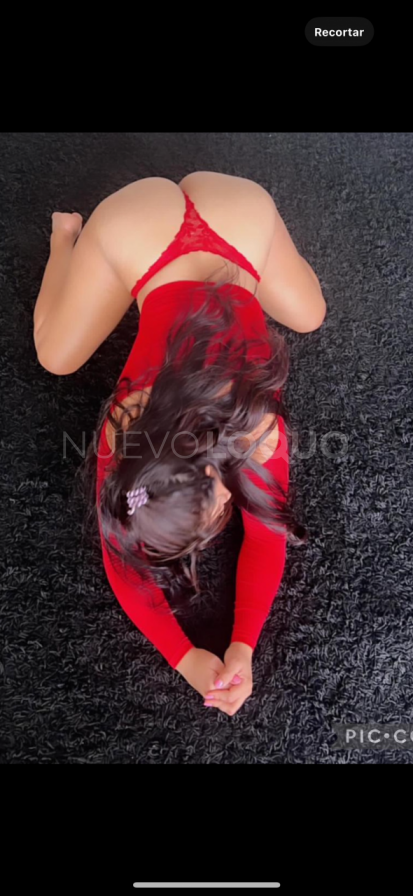 NuevoLoquo4