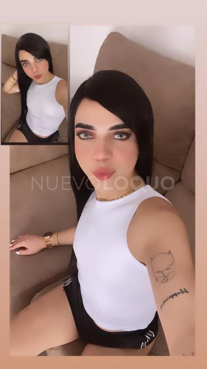 NuevoLoquo2