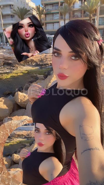 NuevoLoquo3