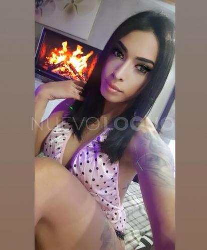 NuevoLoquo4