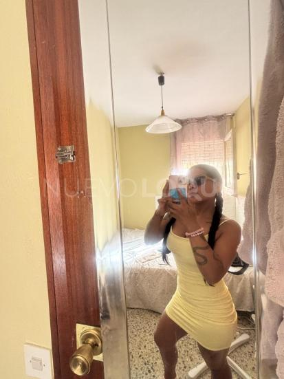 NuevoLoquo3