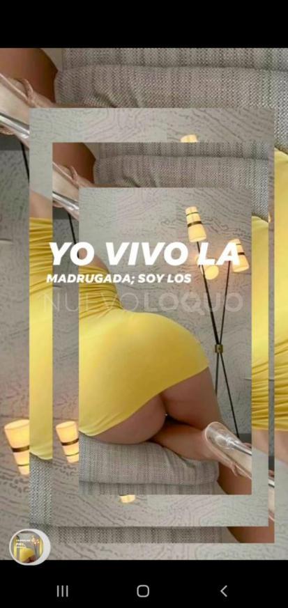 NuevoLoquo3
