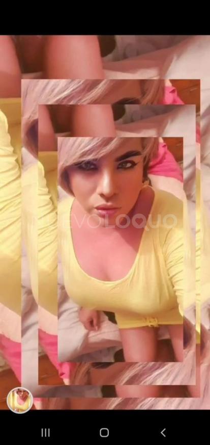 NuevoLoquo4