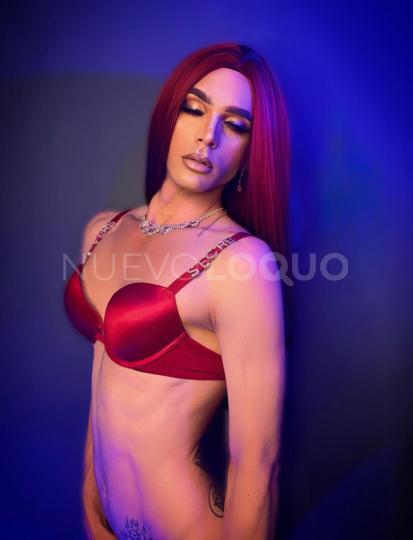 NuevoLoquo1