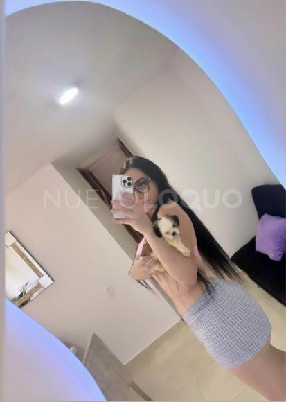 NuevoLoquo4