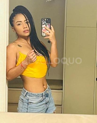 NuevoLoquo3