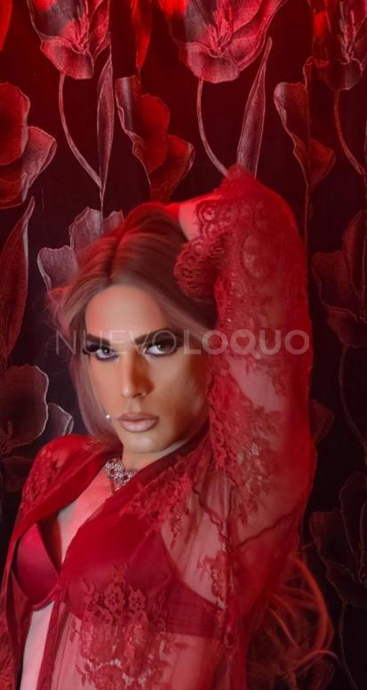 NuevoLoquo1