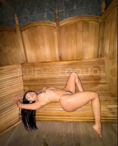 NuevoLoquo3