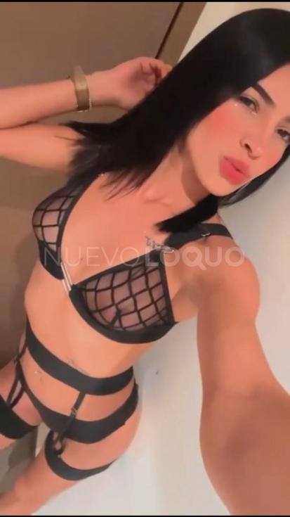 NuevoLoquo2