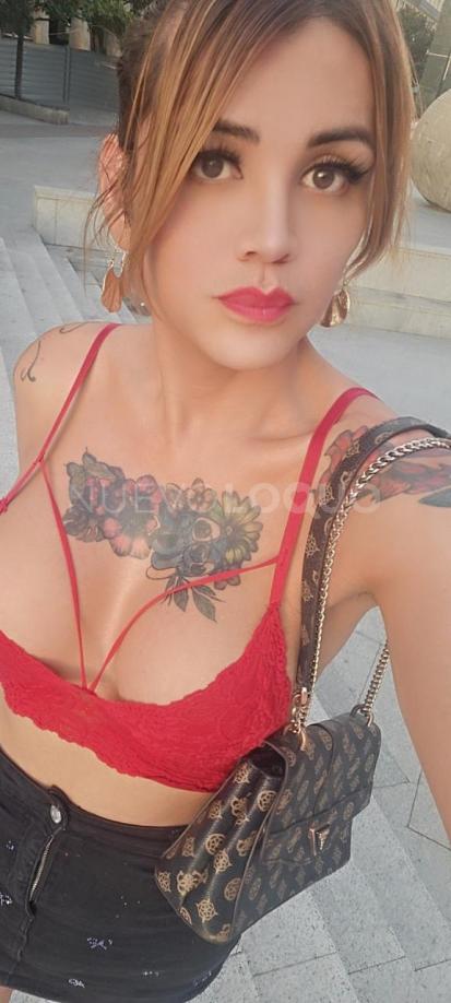 NuevoLoquo3