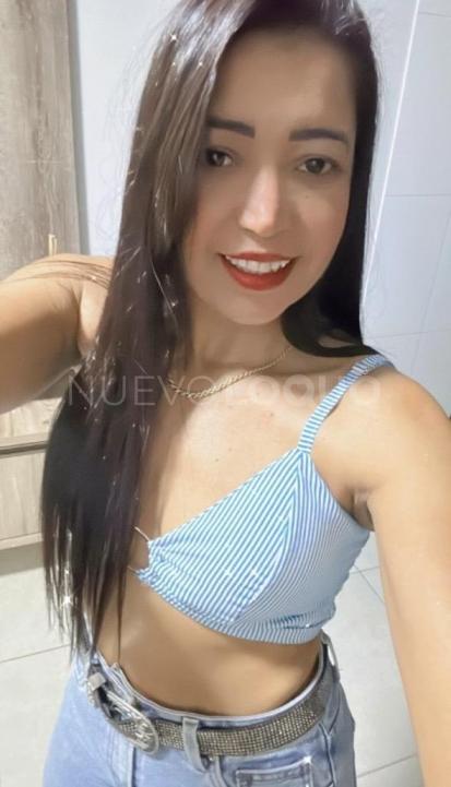 NuevoLoquo3
