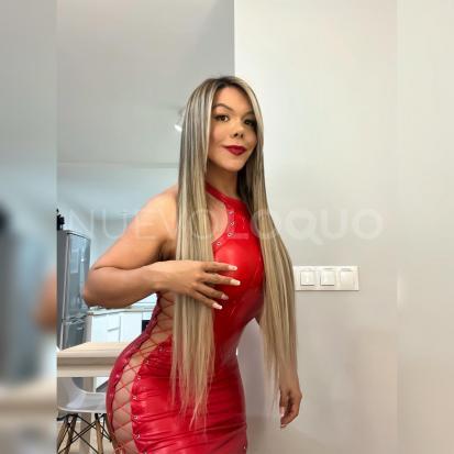 NuevoLoquo2