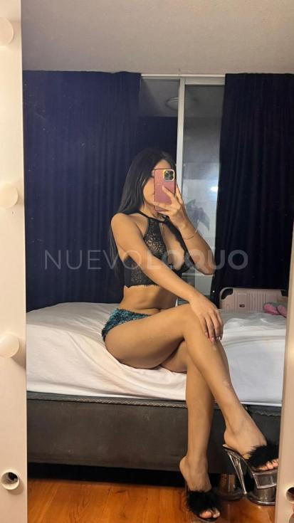 NuevoLoquo1