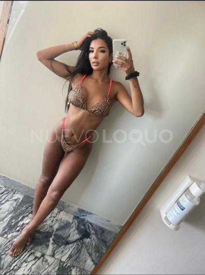 NuevoLoquo4