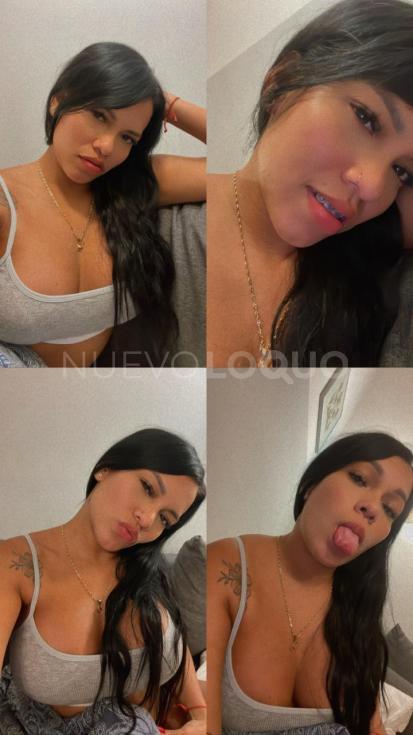 NuevoLoquo1