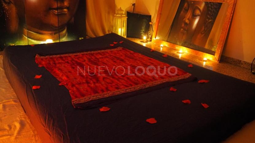 NuevoLoquo2