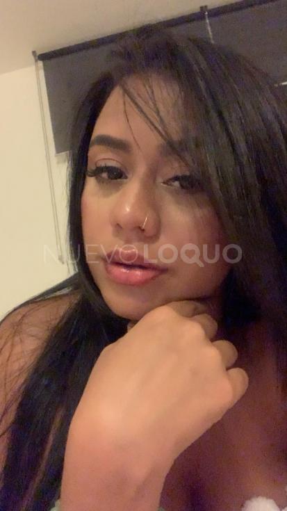NuevoLoquo1