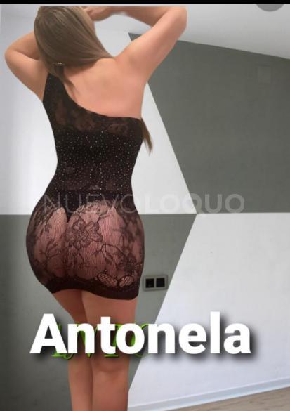 NuevoLoquo1