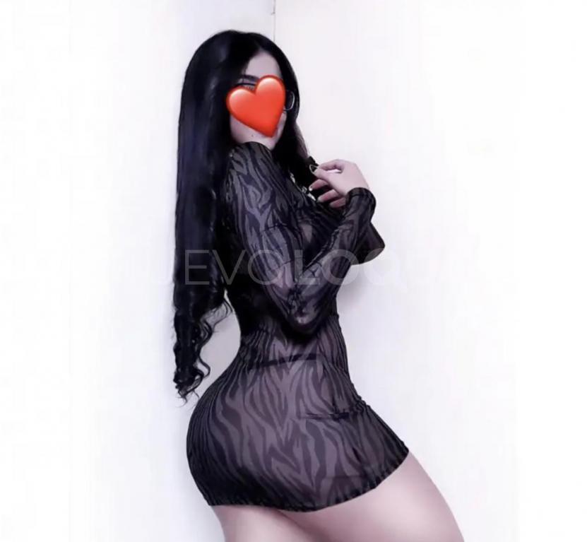 NuevoLoquo1