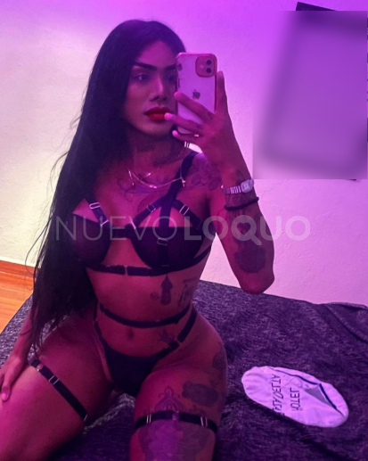 NuevoLoquo3
