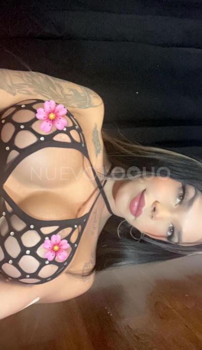 NuevoLoquo3
