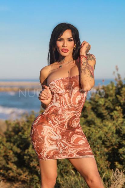 NuevoLoquo2
