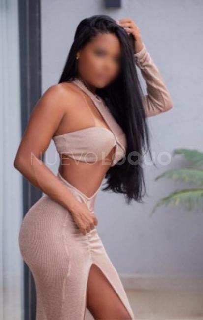 NuevoLoquo3