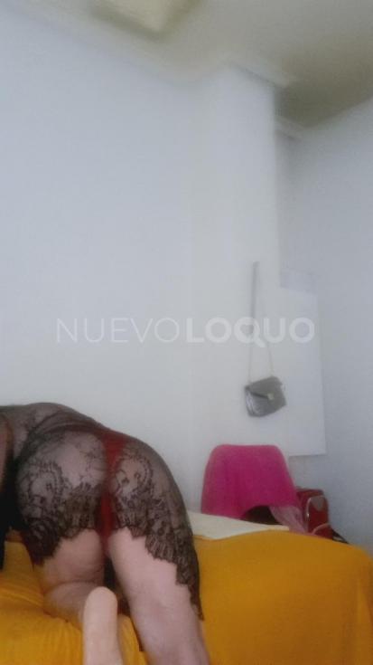 NuevoLoquo1