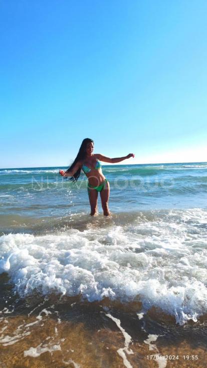  Damaris trans latina
